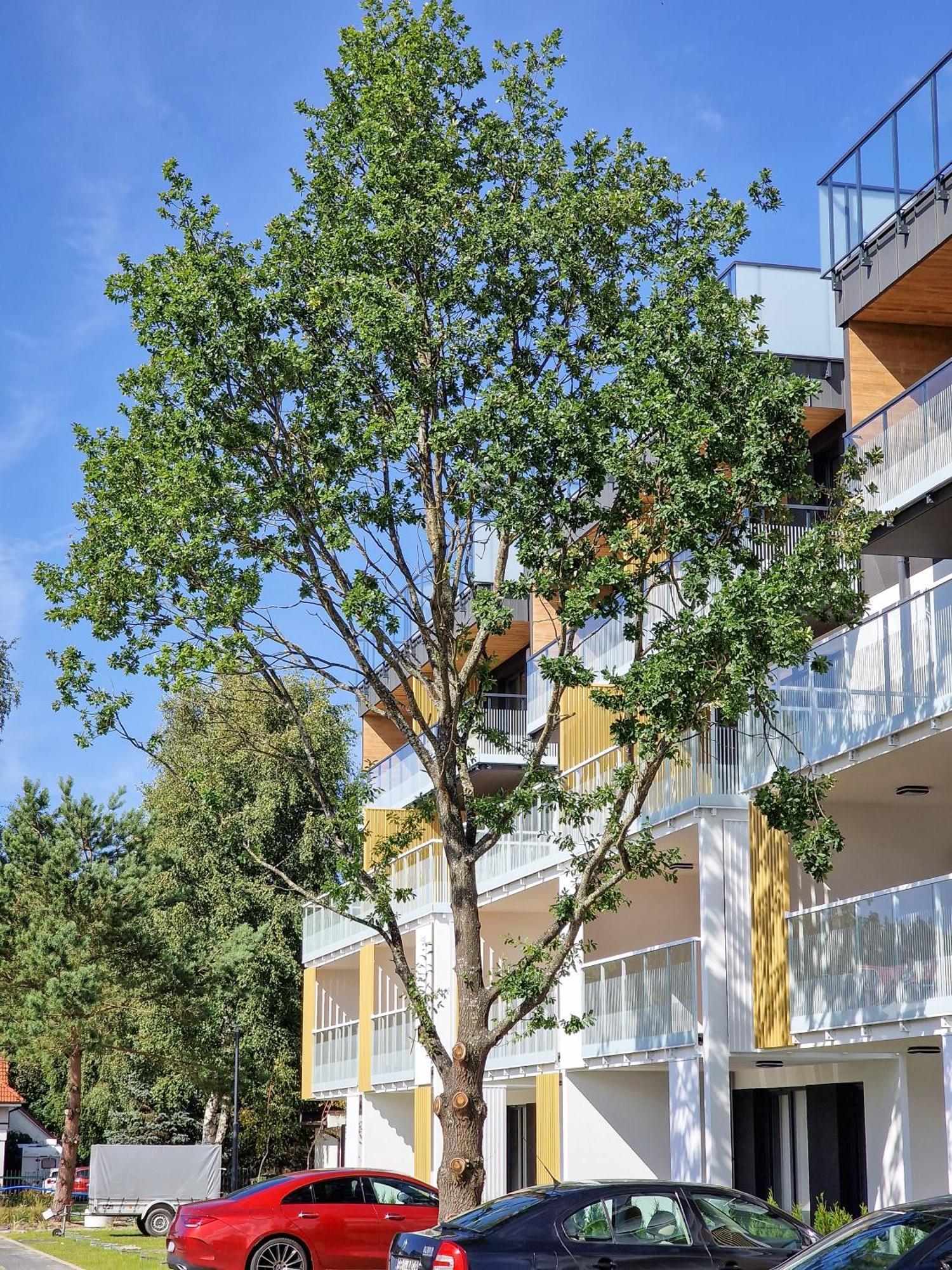 Posesja Apartamenty & Spa - Posesja Plazowa 4A II Grzybowo  Exteriér fotografie